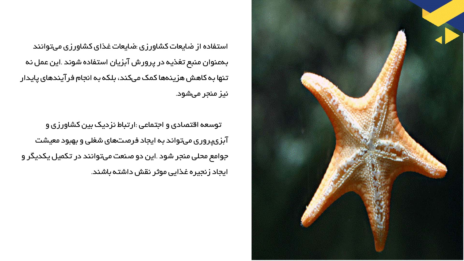 پاورپوینت در مورد بررسی تأثیرات کشاورزی بر آبزی‌پروری